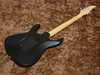 Caparison Dellinger 2.jpg